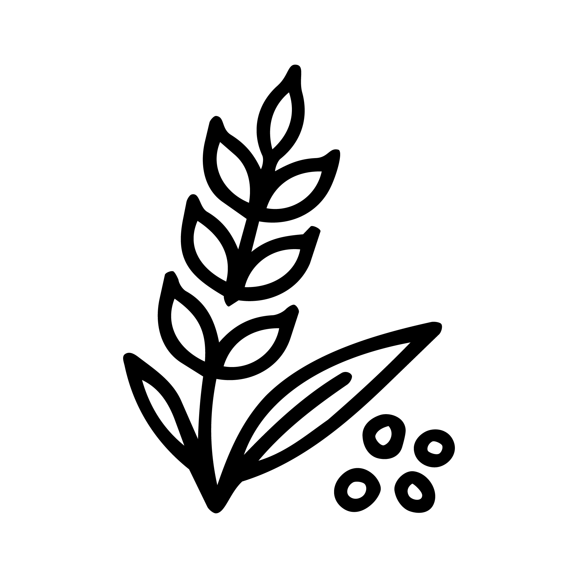 Seçilmiş Hammaddeler